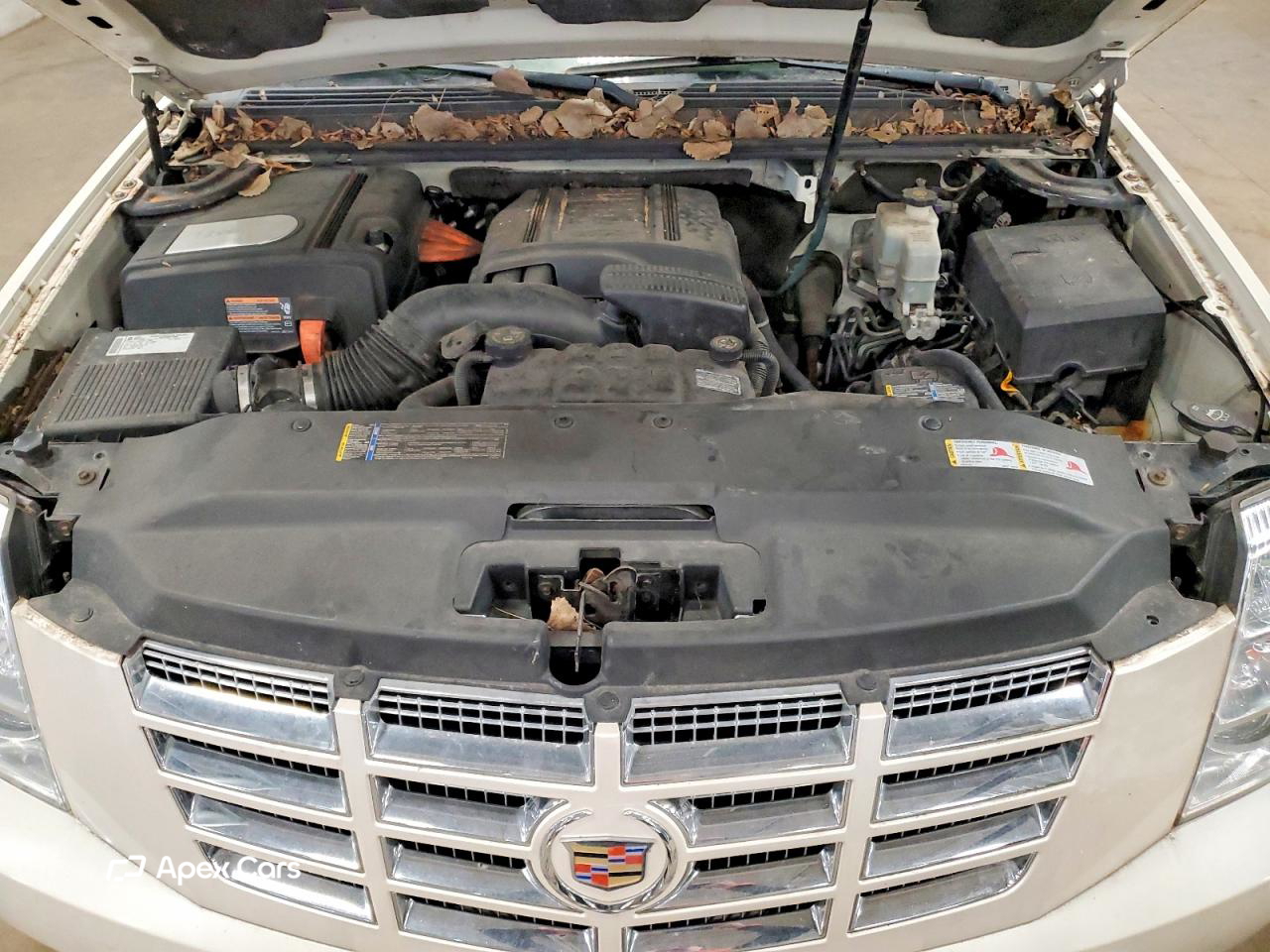 Cadillac Escalade 2009