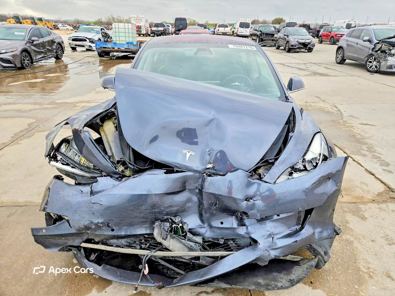 Tesla Model 3 2019