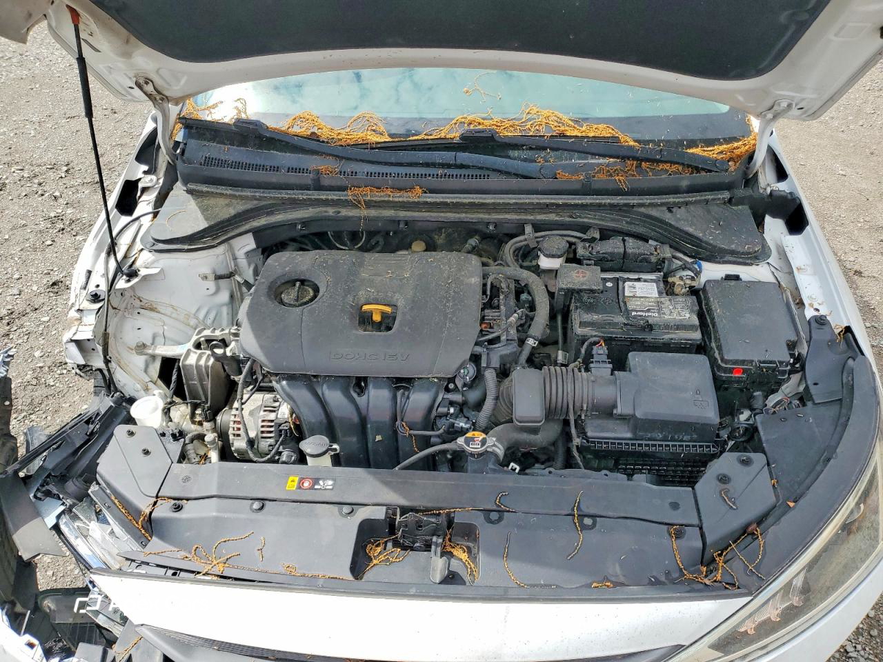 Hyundai Elantra 2020