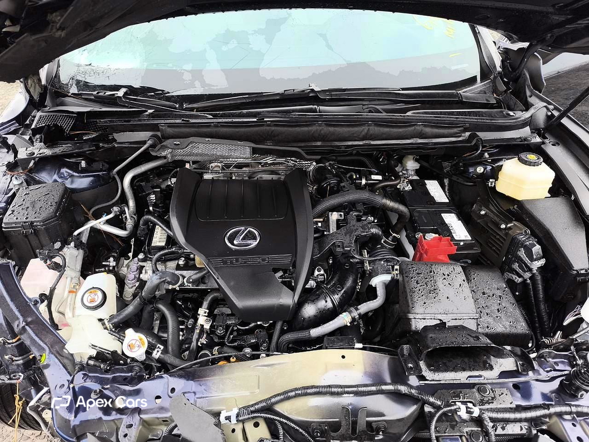 Lexus RX 2024