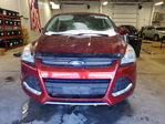 Ford Escape 2016
