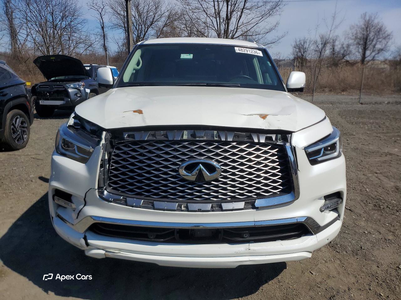 Infiniti QX80 2024