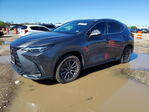 Lexus NX 2023