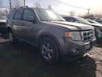 Ford Escape 2009