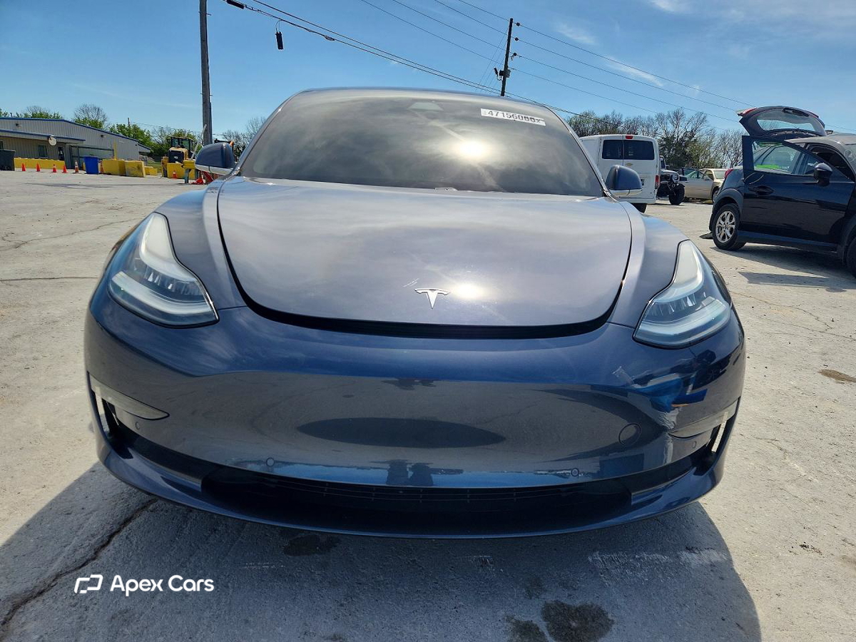 Tesla Model 3 2019