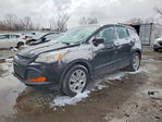 Ford Escape 2016
