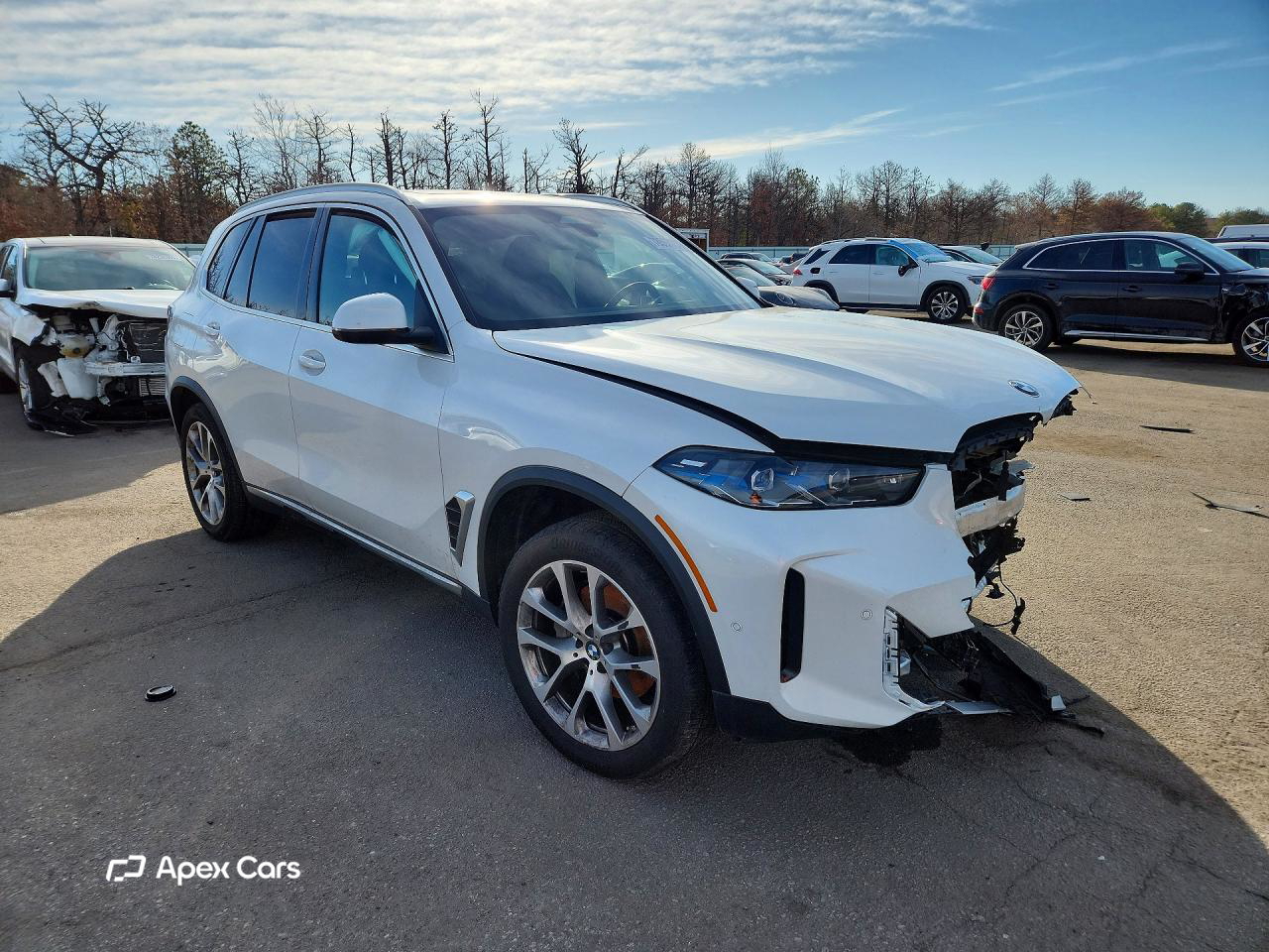 BMW X5 2025