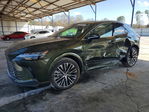 Lexus RX 2024