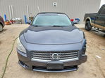 Nissan Maxima 2010