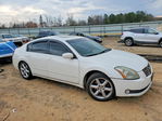 Nissan Maxima 2006