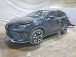 Lexus NX 2021
