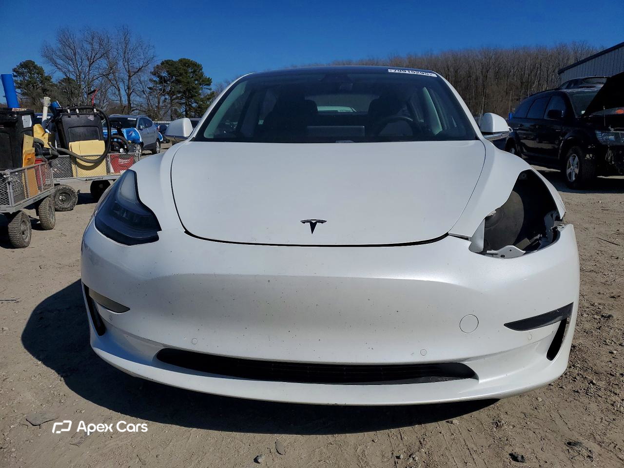 Tesla Model 3 2019