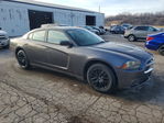 Dodge Charger 2014