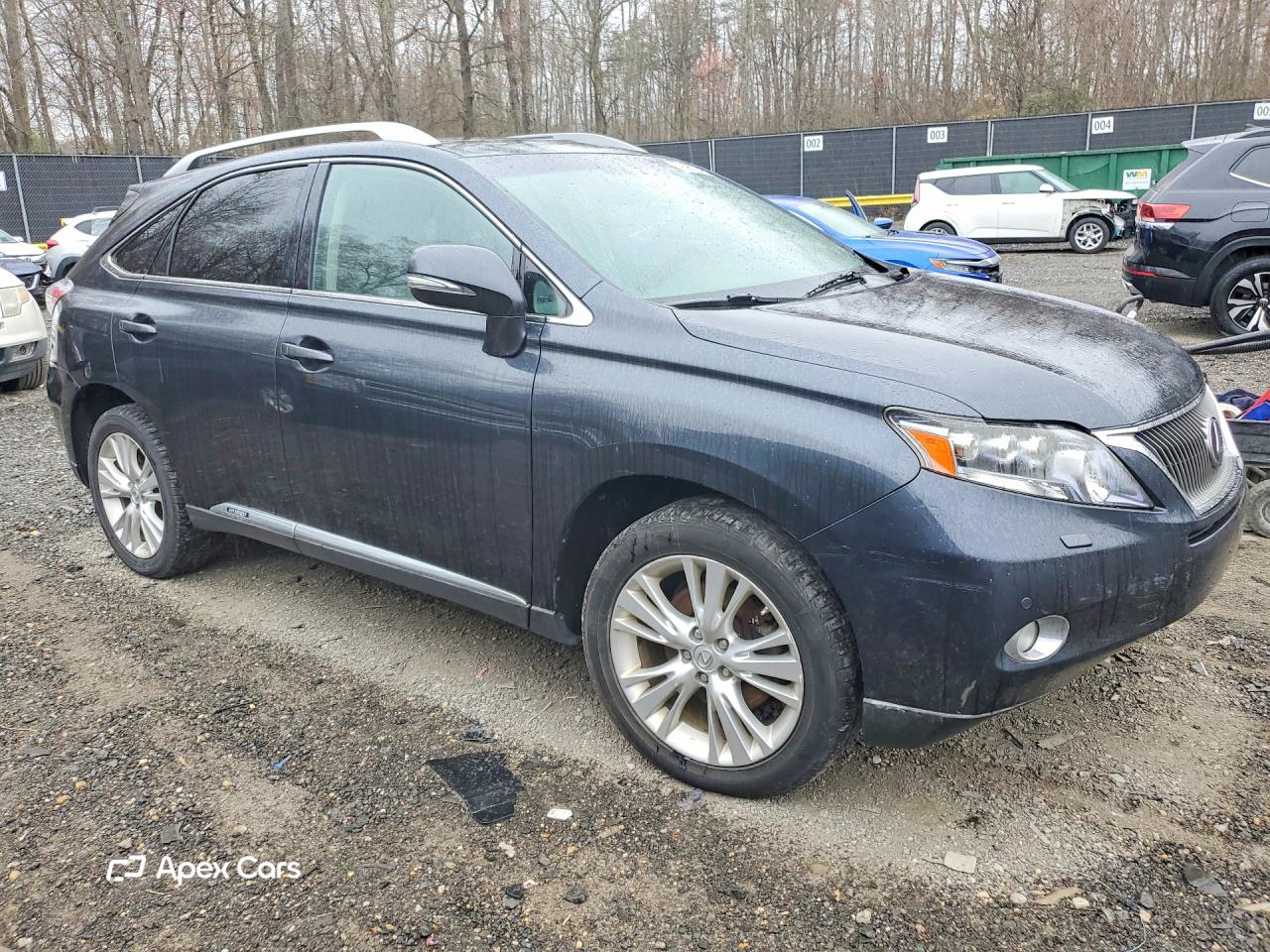 Lexus RX 2010