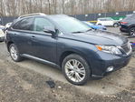 Lexus RX 2010