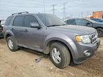 Ford Escape 2010