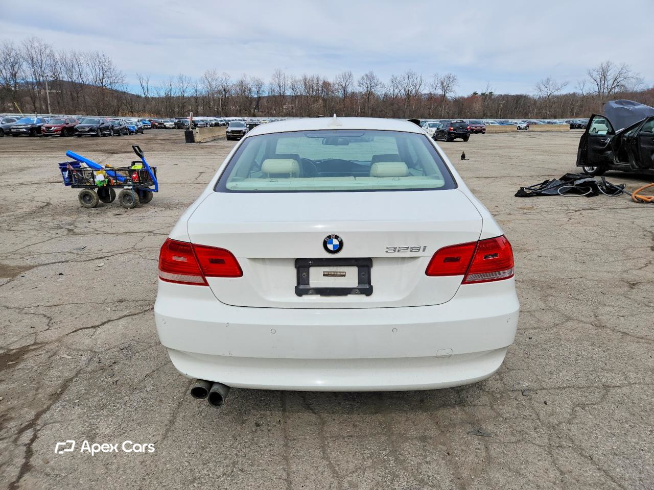 BMW Series 3 2009