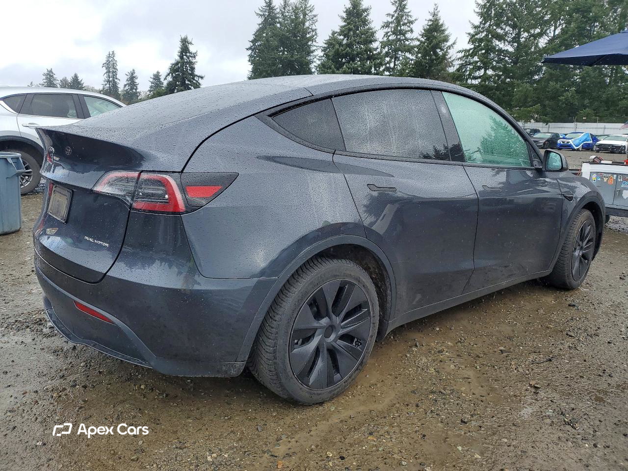 Tesla Model Y 2025
