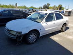 Honda Accord 1994