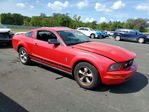 Ford Mustang 2007