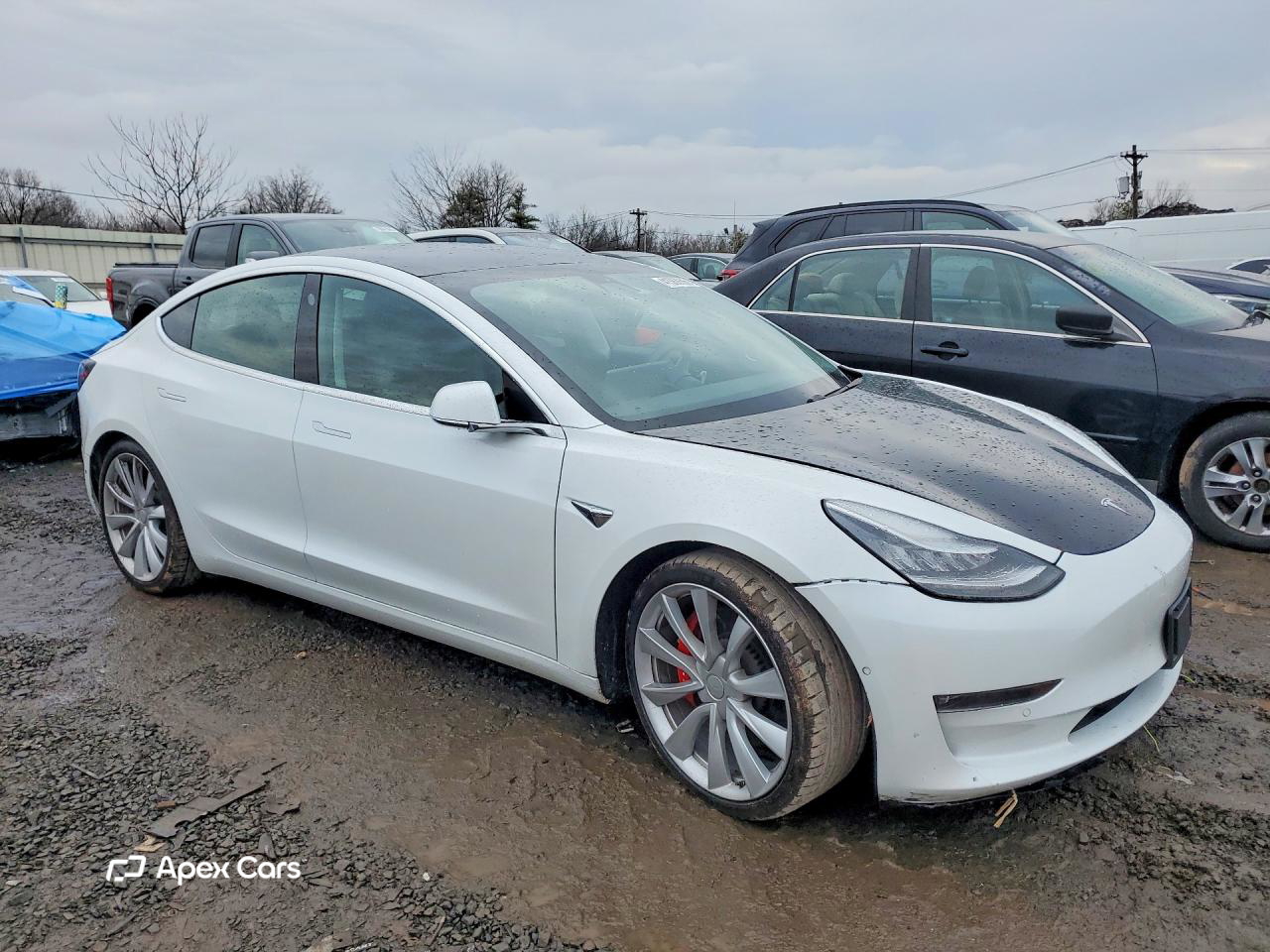 Tesla Model 3 2020
