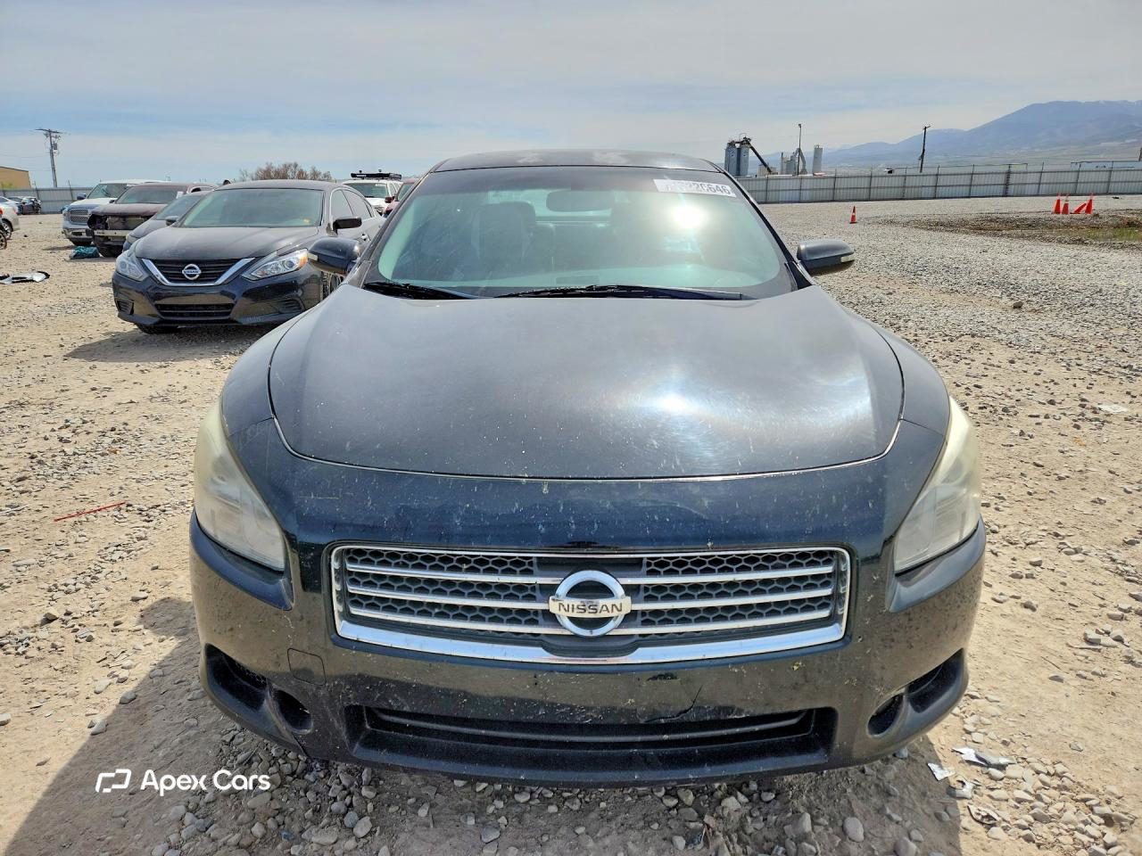 Nissan Maxima 2010