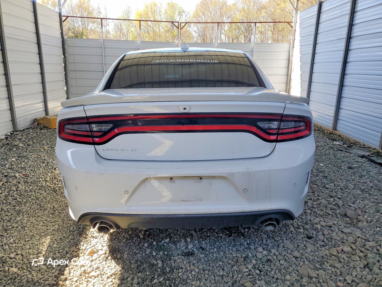 Dodge Charger 2019