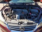Honda Accord 2013