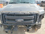 Ford F-150 2013