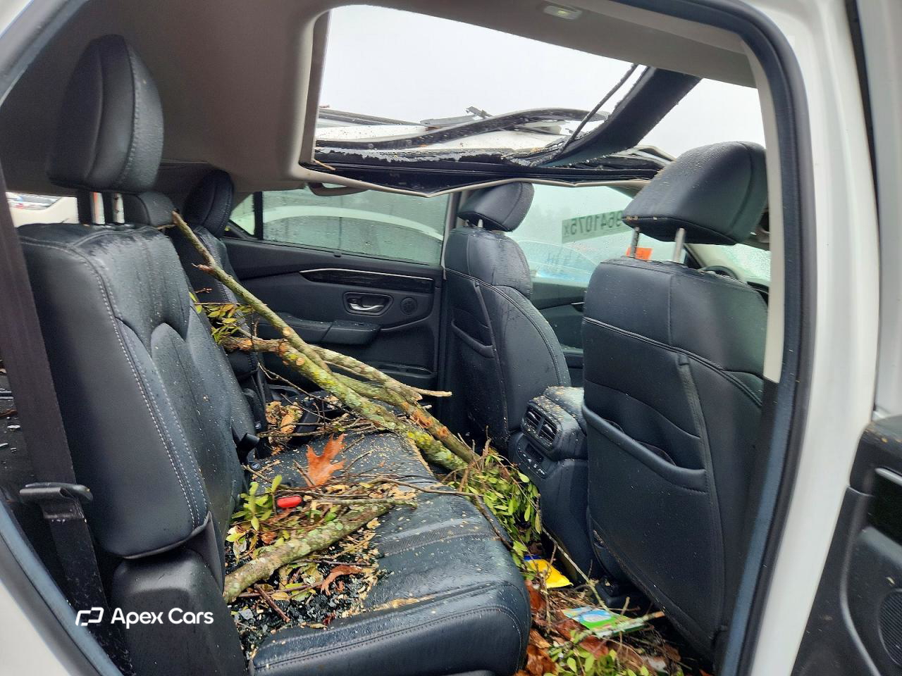Honda Pilot 2024