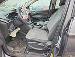 Ford Escape 2013