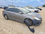 Hyundai Sonata 2014
