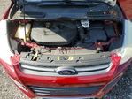 Ford Escape 2014