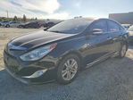 Hyundai  2015