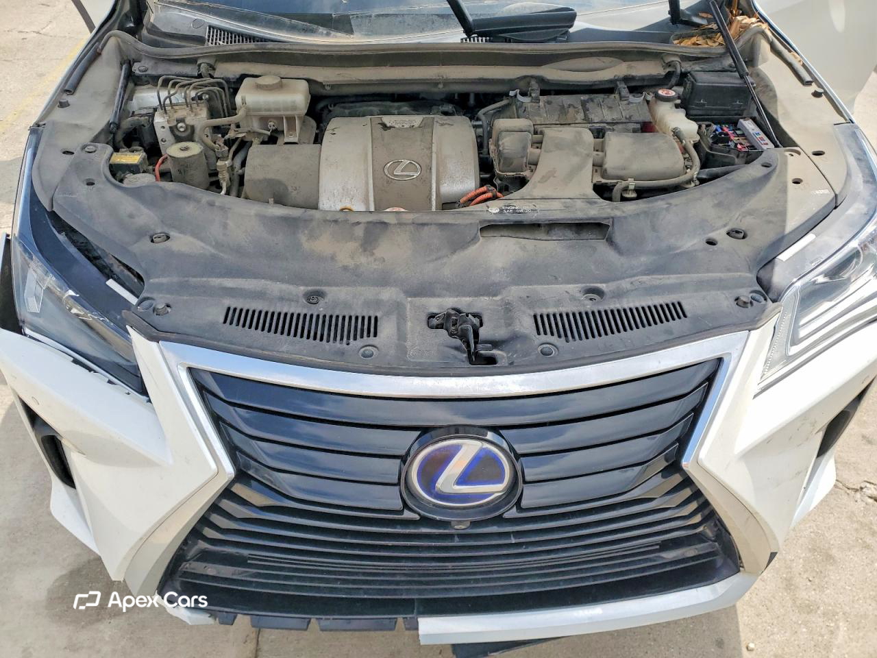 Lexus RX 2019