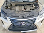 Lexus RX 2019