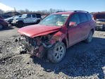 Toyota RAV 4 2010