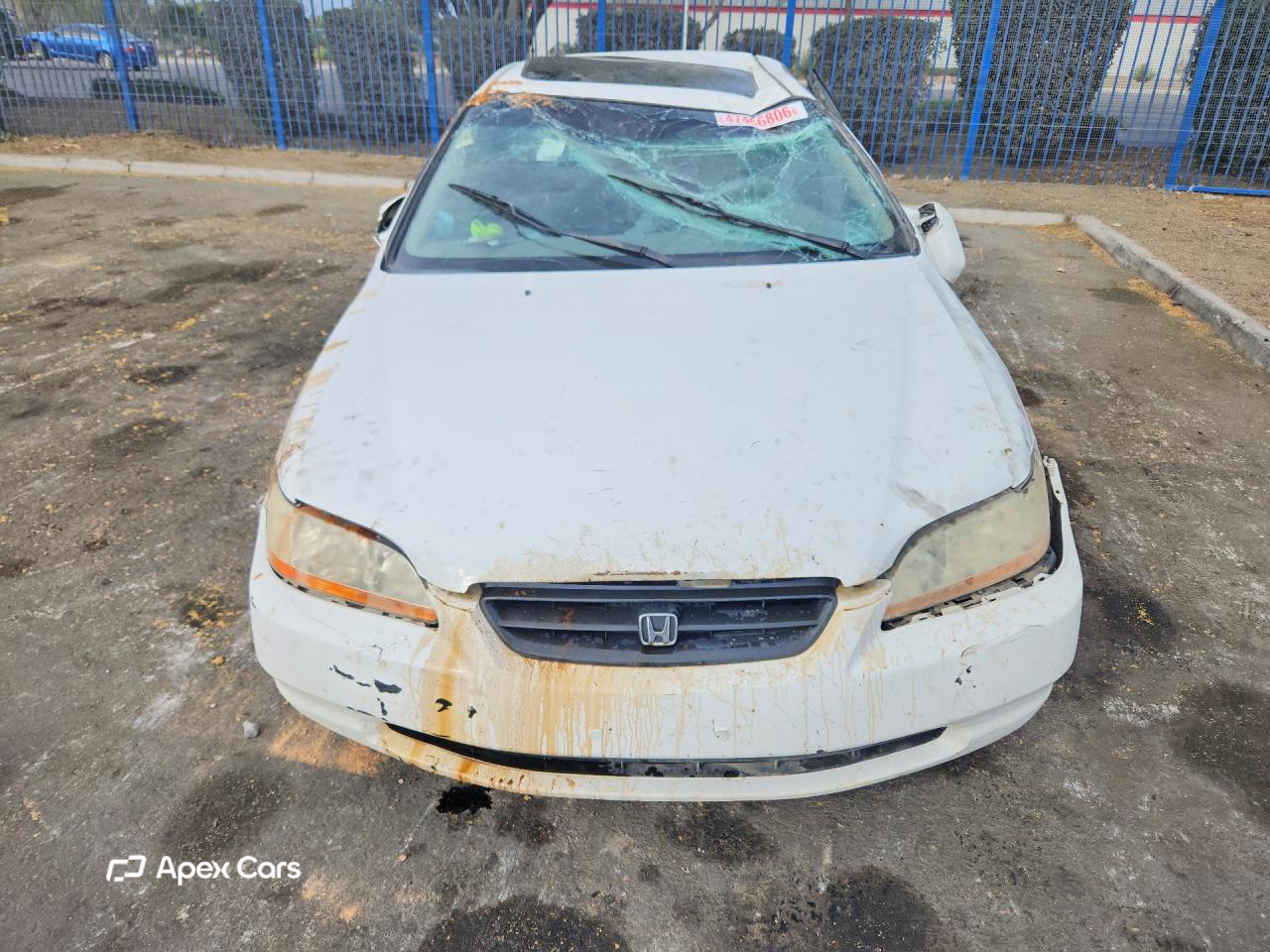 Honda Accord 2000