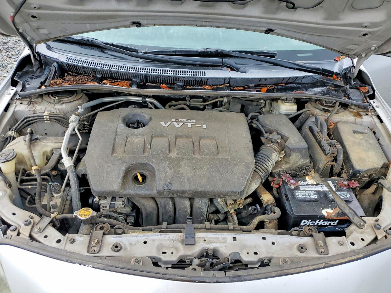 Toyota Corolla 2010