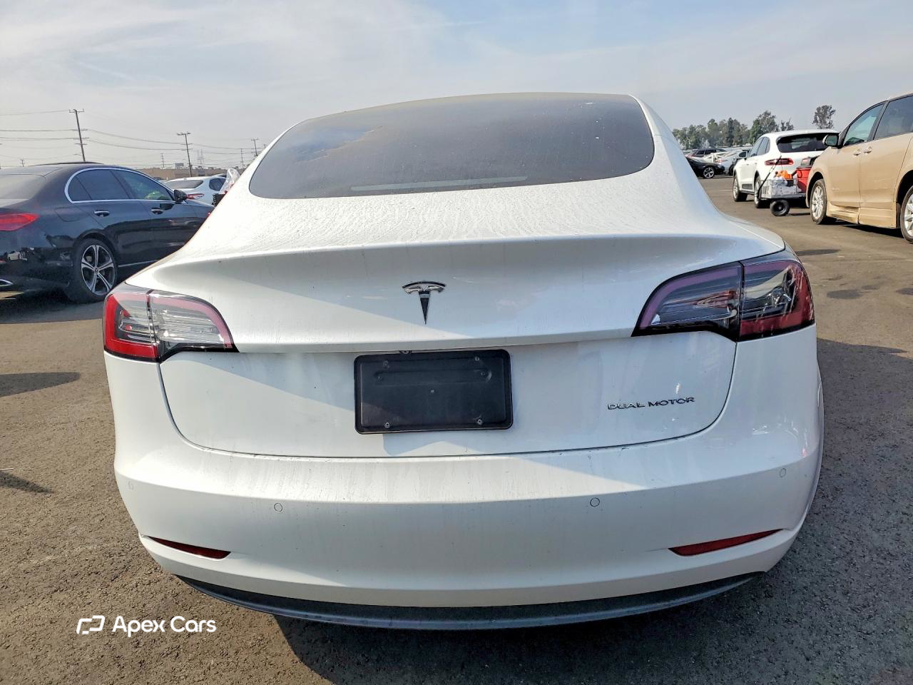 Tesla Model 3 2019