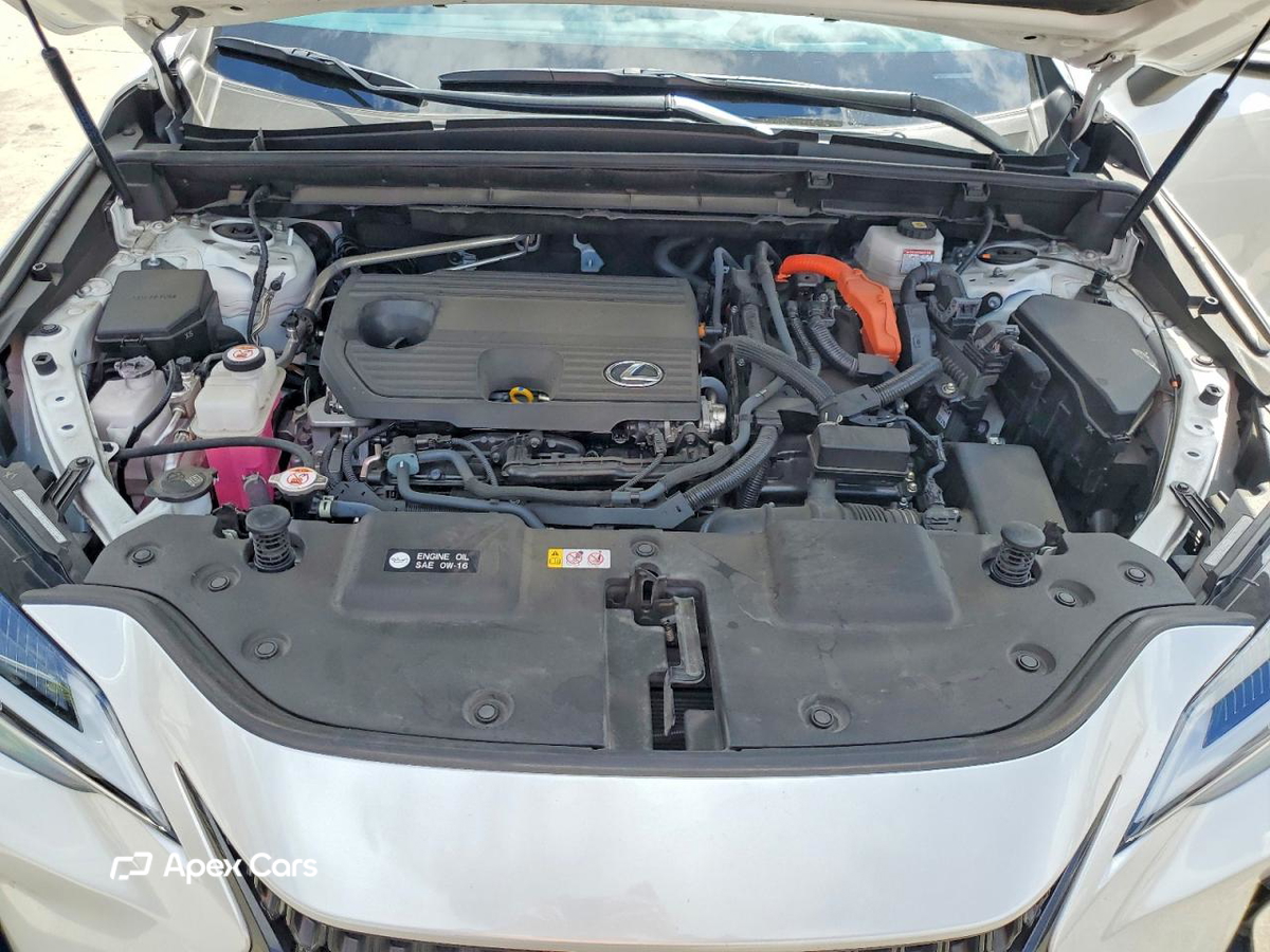 Lexus NX 2023