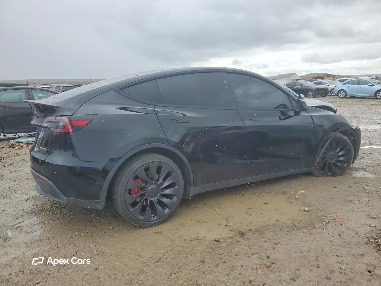 Tesla Model Y 2025