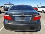 Lexus LS 2007