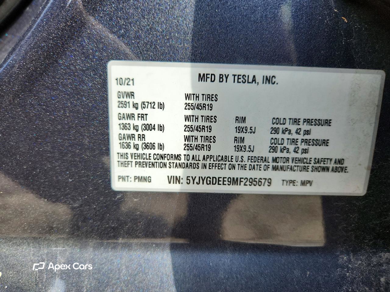 Tesla Model Y 2021