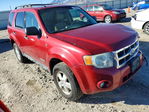 Ford Escape 2008