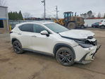 Lexus NX 2023