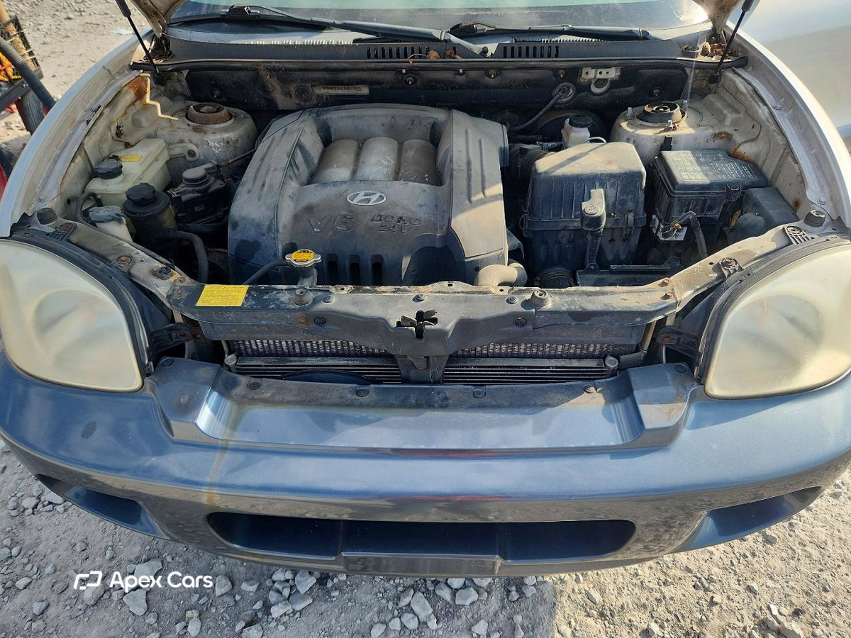 Hyundai Santa Fe 2003