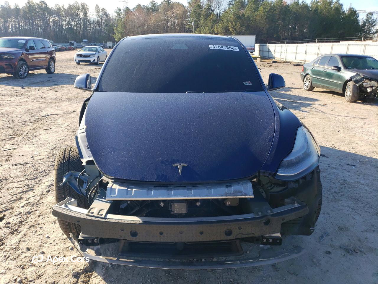 Tesla Model Y 2021