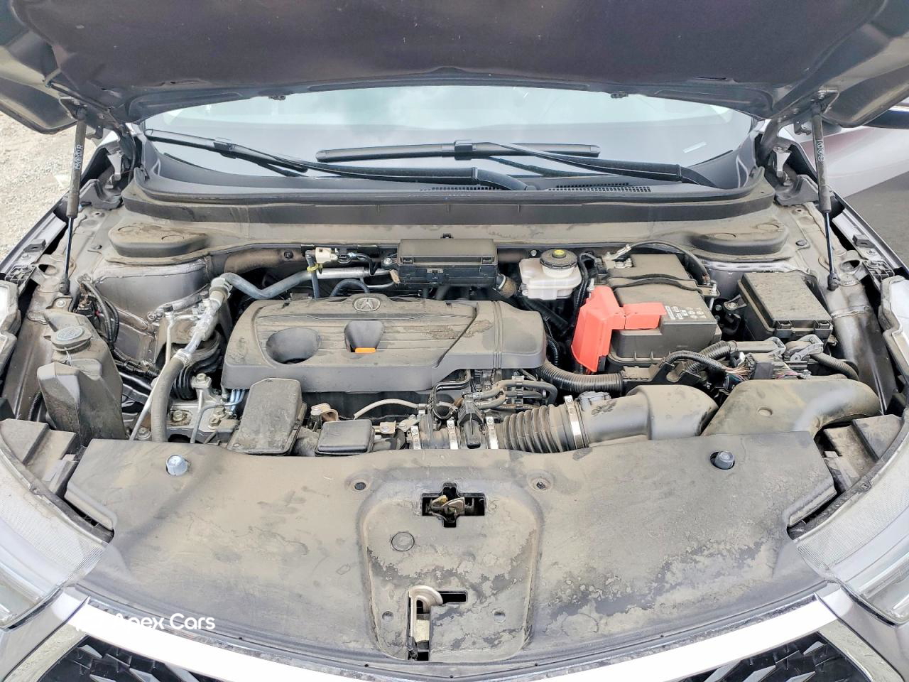 Acura RDX 2023