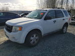 Ford Escape 2010